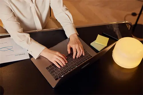 叶含义的并有解析