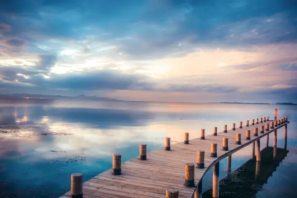 肉肉的有什么含义