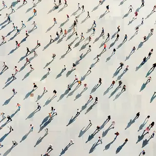 杨知非什么含义的