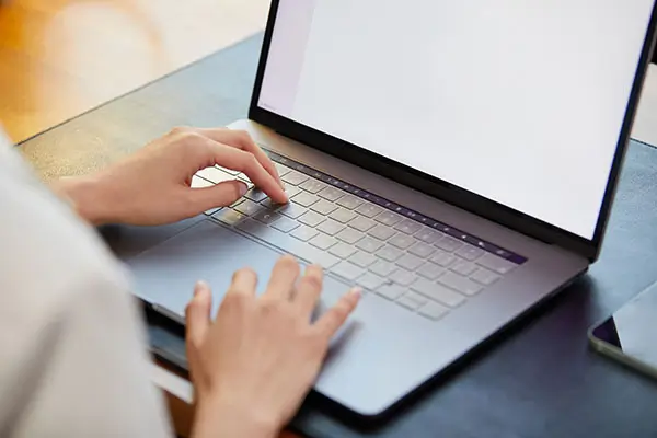 南雪的意思和含义